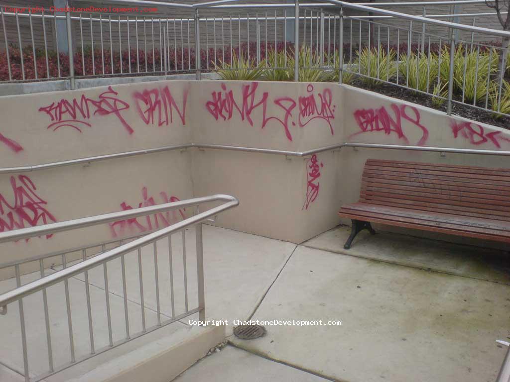 Another plague of graffiti in July - Chadstone Development Discussions