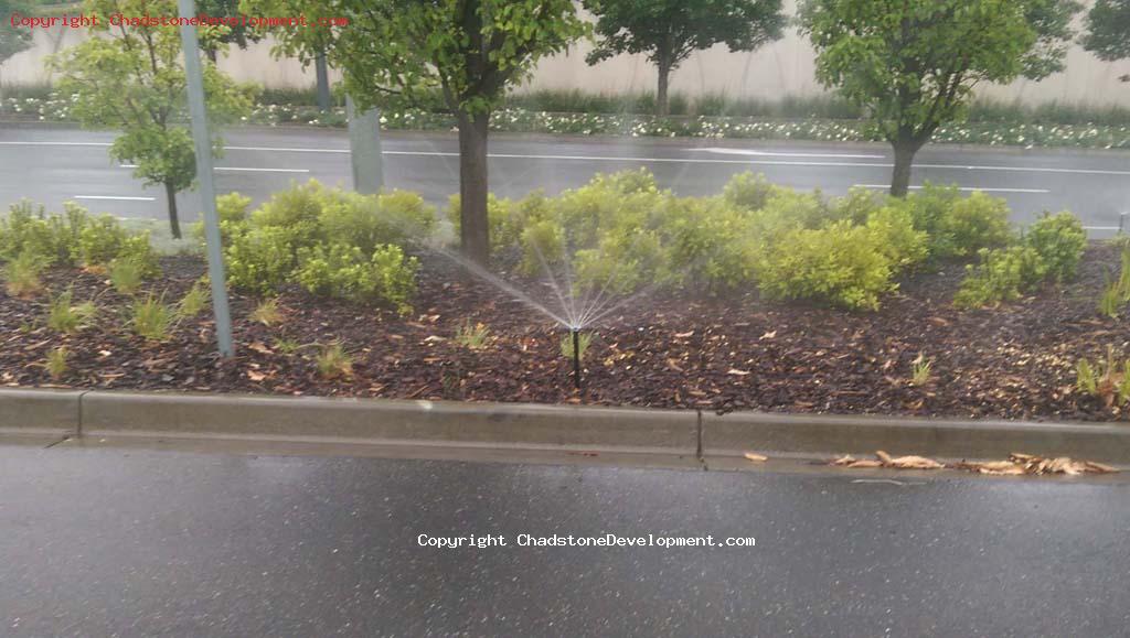 Watering sprayers used on a rainy day on Middle Rd - Chadstone Development Discussions