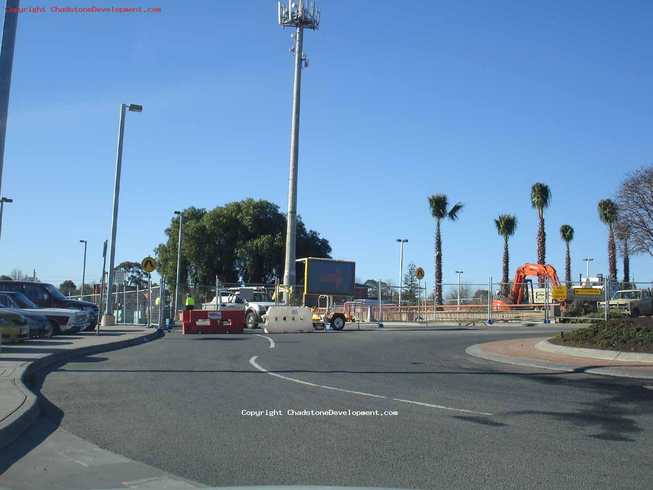 Palm trees near the roundabout - Chadstone Development Discussions