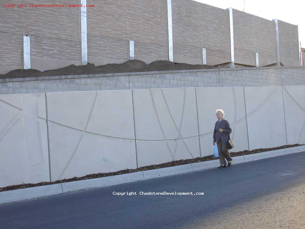 Elderly lady risks her life by walking on the road - Chadstone Development Discussions