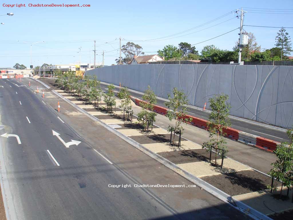 Trees for Middle Road (Chadstone End) - Chadstone Development Discussions